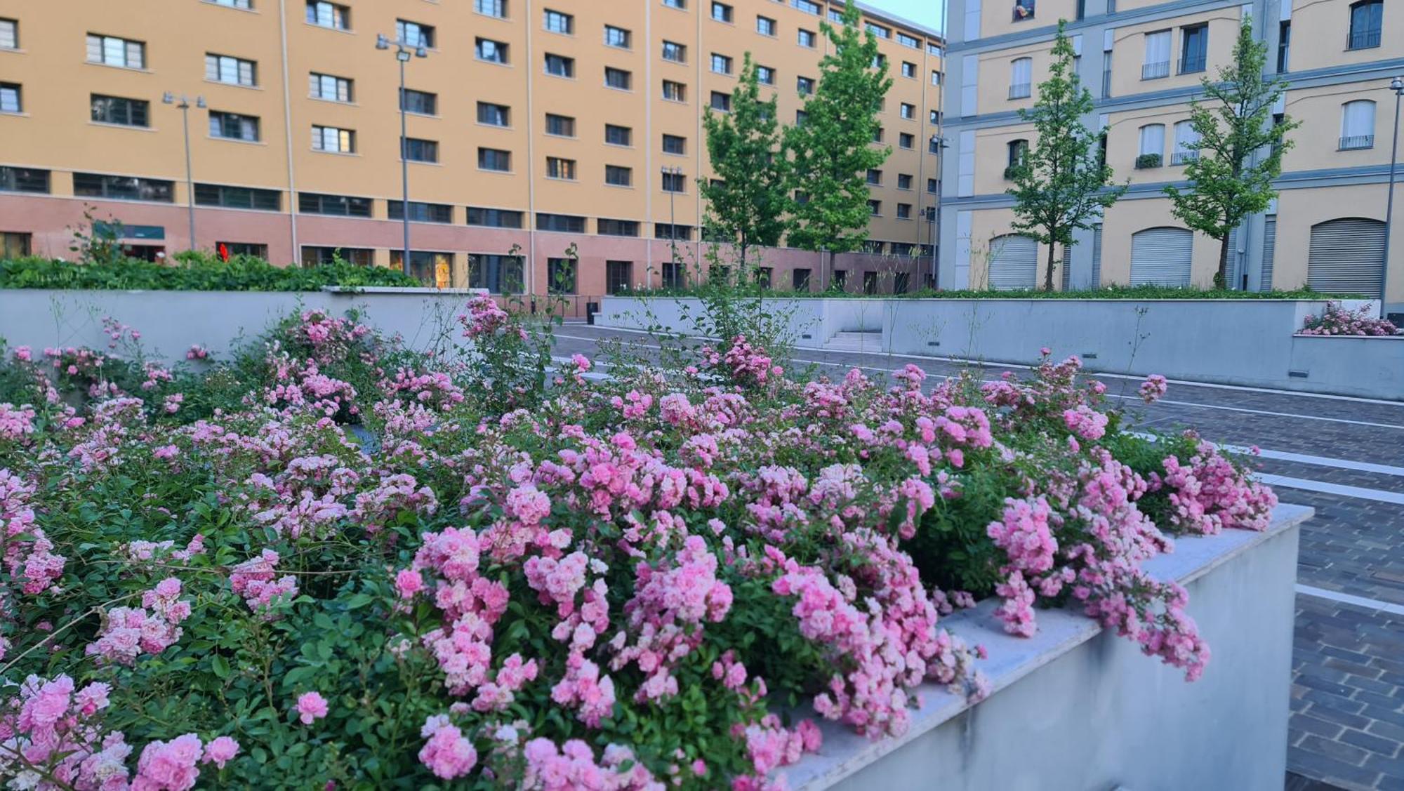 Space Loft - Close To M5 Subway - Free Parking - Sky & Netflix Tv Apartamento